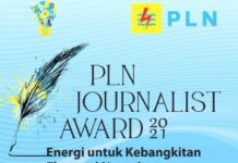 PLN Journalist Award 2021