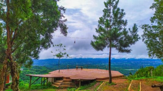 Pemandangan kawasan hutan pinus Mangunan