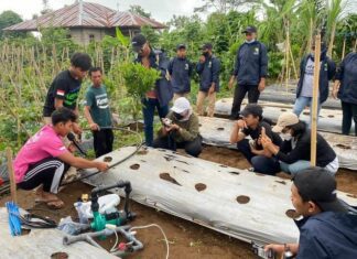 Kegiatan Petani Muda Keren Bali