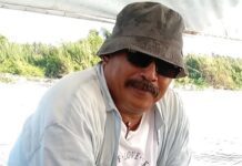 Roy Nurdin