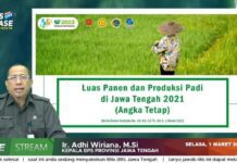 Adhi Wiriana