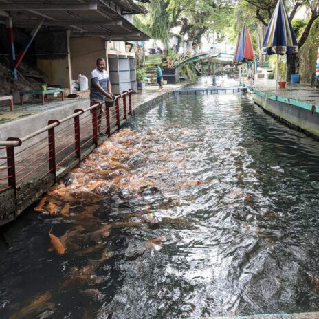 Kondisi sungai Gejikan