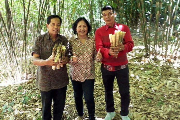 Panen Perdana Rebung Bambu Tabah