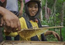 Petani madu di Desa Tuksongo