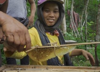 Petani madu di Desa Tuksongo