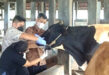 Petugas RPH Semarang