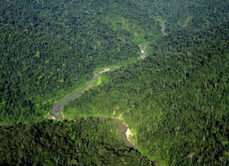 Taman Nasional Gunung Leuser