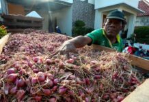 Bawang Merah