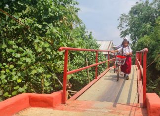 Jembatan penghubung di Desa Mulyoharjo