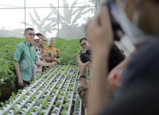Learning center bawang putih