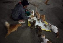 Volunteer Komunitas Peduli Kucing Pasar