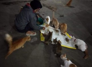 Volunteer Komunitas Peduli Kucing Pasar
