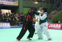 Dua pesilat