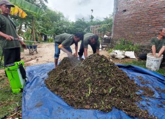 Mengolah enceng gondok