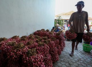 Petani bawang merah