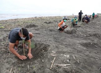 Aksi penghijauan di lahan kritis