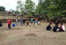 Kegiatan tanam pohon