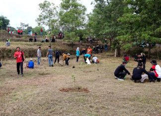 Kegiatan tanam pohon