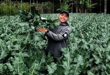 Ari Yanto