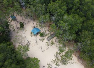 Ekowisata Mangrove Pandang Tak Jemu