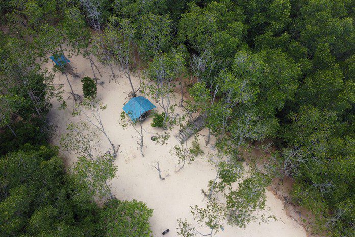 Ekowisata Mangrove Pandang Tak Jemu Ekowisata Mangrove Pandang Tak Jemu