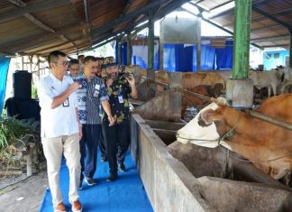 Klaster rumah kompos