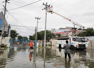 Pemeriksaan jaringan