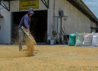 Petani di Kecamatan Delanggu