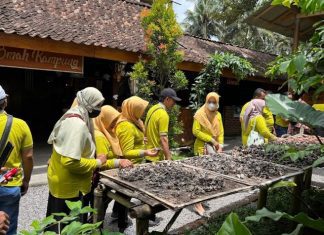 Proses menjemur jamur