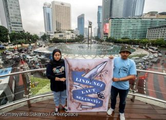 Aktivis Greenpeace Indonesia
