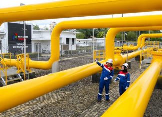 Pemeriksaan pipa jaringan gas bumi