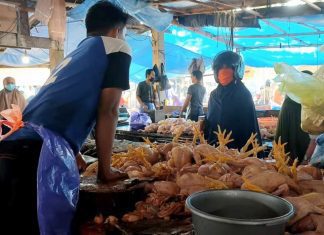 Pedagang ayam potong