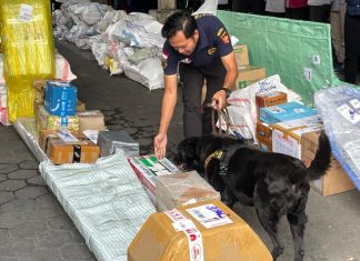 Petugas bersama anjing pelacak