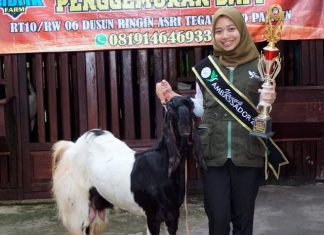 Shelly Ardita