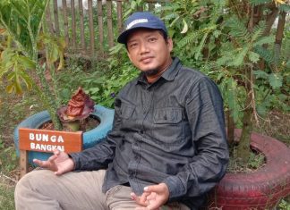 Ahmad Yunus