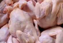 Ayam Sayur