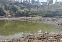 Kondisi Waduk Jatibarang Semarang