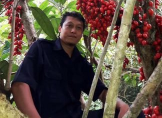 Mohamad Hanif Wicaksono