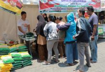Pasar murah