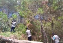 Penyisiran titik api di hutan Gunung Merbabu