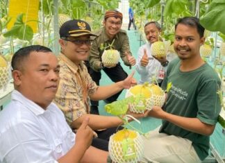 Tri Bowo Pangestika