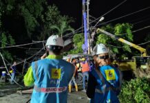 Jaringan listrik yang tertimpa pohon tumbang