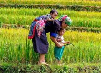 Regenerasi Petani