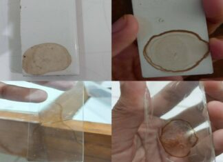 Biji kurma sebagai bahan dasar identifikasi forensik sidik jari