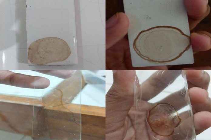 Biji kurma sebagai bahan dasar identifikasi forensik sidik jari