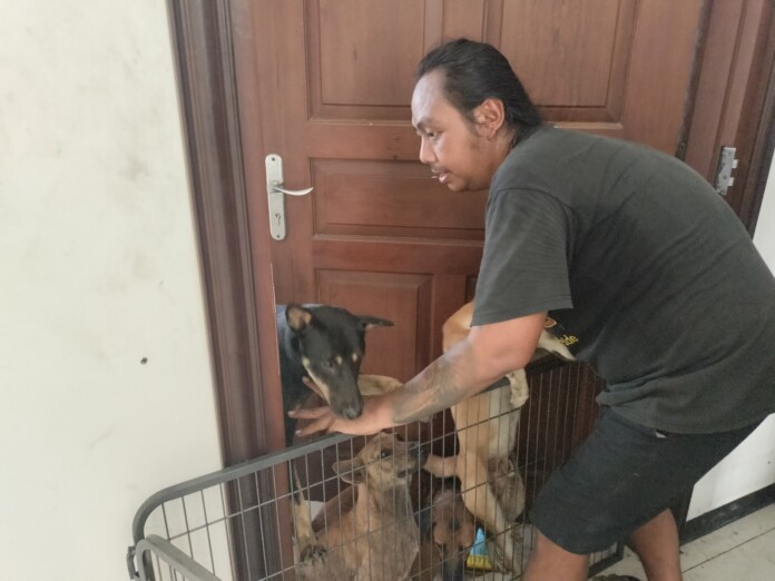 Aktivis pecinta anjing Aktivis pecinta anjing