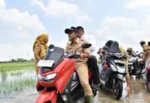 Lahan pertanian yang tergenang banjir