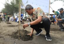 Pesisir Pantai Padaharja, Kabupaten Tegal