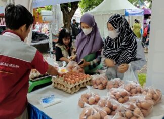 telur ayam