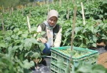 Imas Wartisih